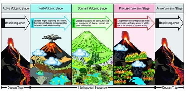 Deccan Volcanism: A Catalyst for Tropical Flora Growth