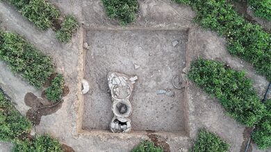 Unearthing Mesopotamian History in Iraq