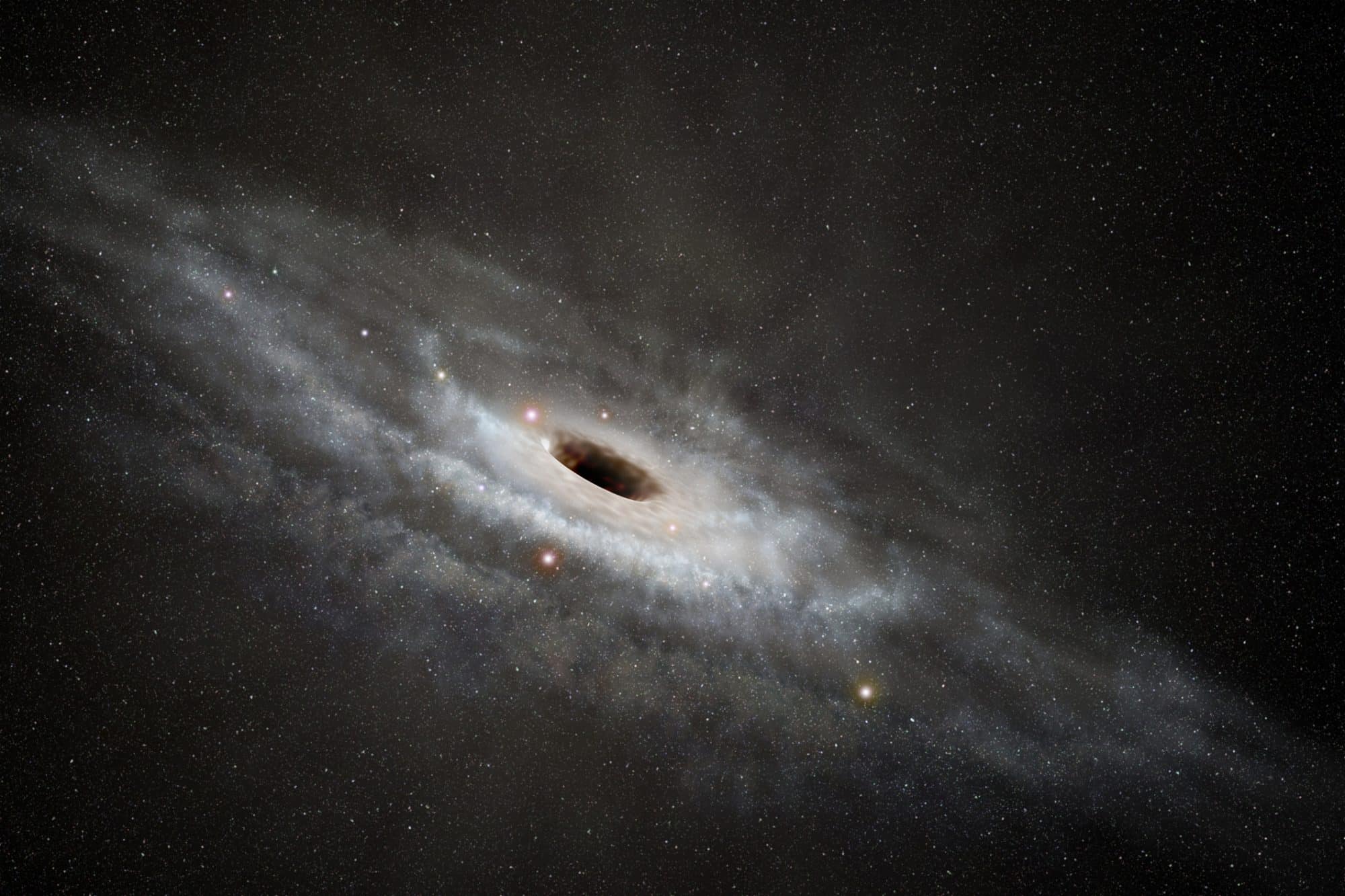 Unveiling Hidden Supermassive Black Holes