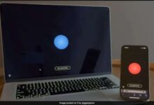 AI Bots Create Secret Language in Viral Call