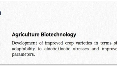 The Transformative Impact of Biotechnology in Agriculture