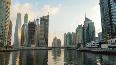 Dubai Warns Investors About Memecoin Risks