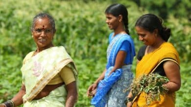 Empowering Farmers: A Call to Action