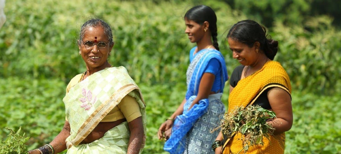 Empowering Farmers: A Call to Action