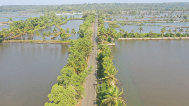 Enhancing Fisheries Development in India