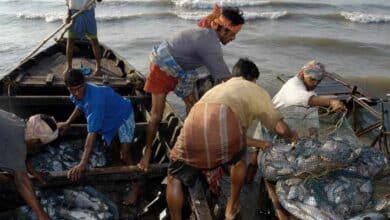 Enhancing Fisheries in India: PMMSY Progress