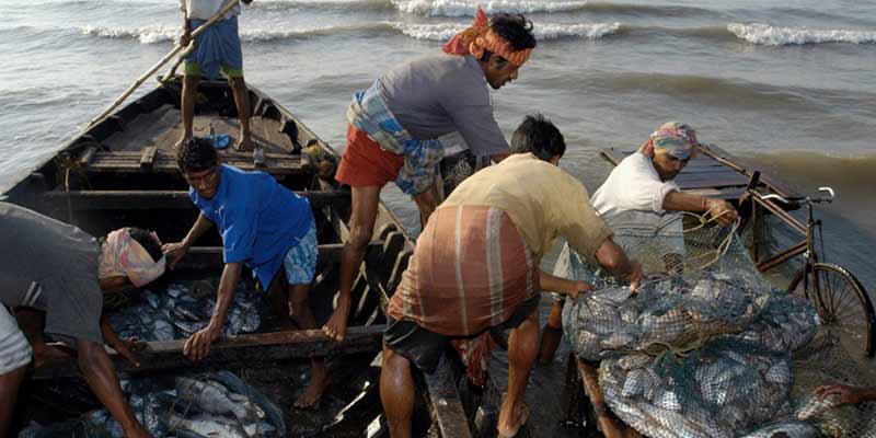 Enhancing Fisheries in India: PMMSY Progress