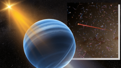 Fastest Exoplanetary System Discovered