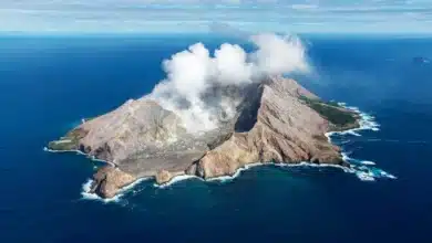 High Court Overturns Conviction of Volcano Owners