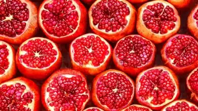 India Marks Milestone in Pomegranate Exports