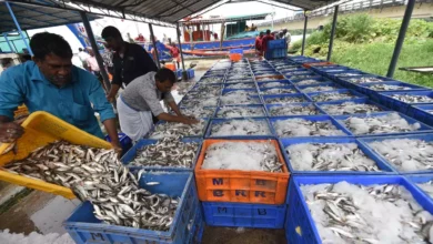 India’s Fisheries Sector Receives Historic Budget Boost