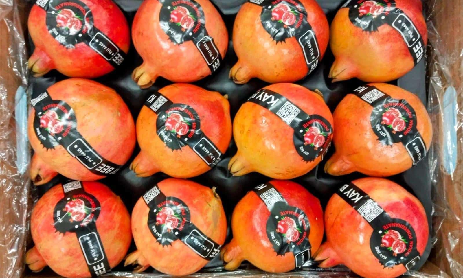 India’s Pomegranate Exports to Australia: A New Era