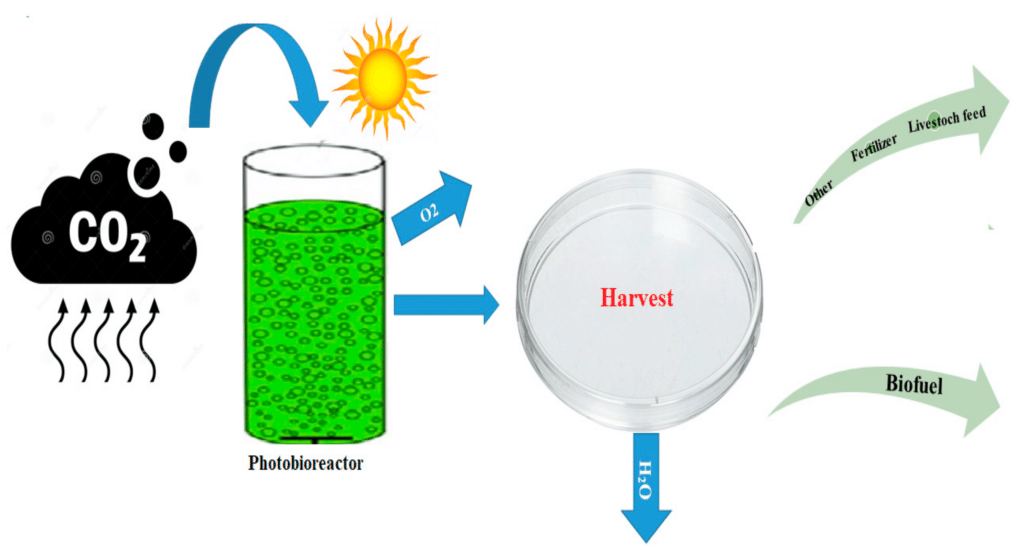 Innovative Method for Carbon Dioxide Reduction in Agriculture ...