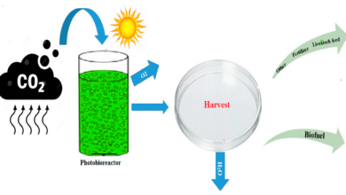 Innovative Method for Carbon Dioxide Reduction in Agriculture