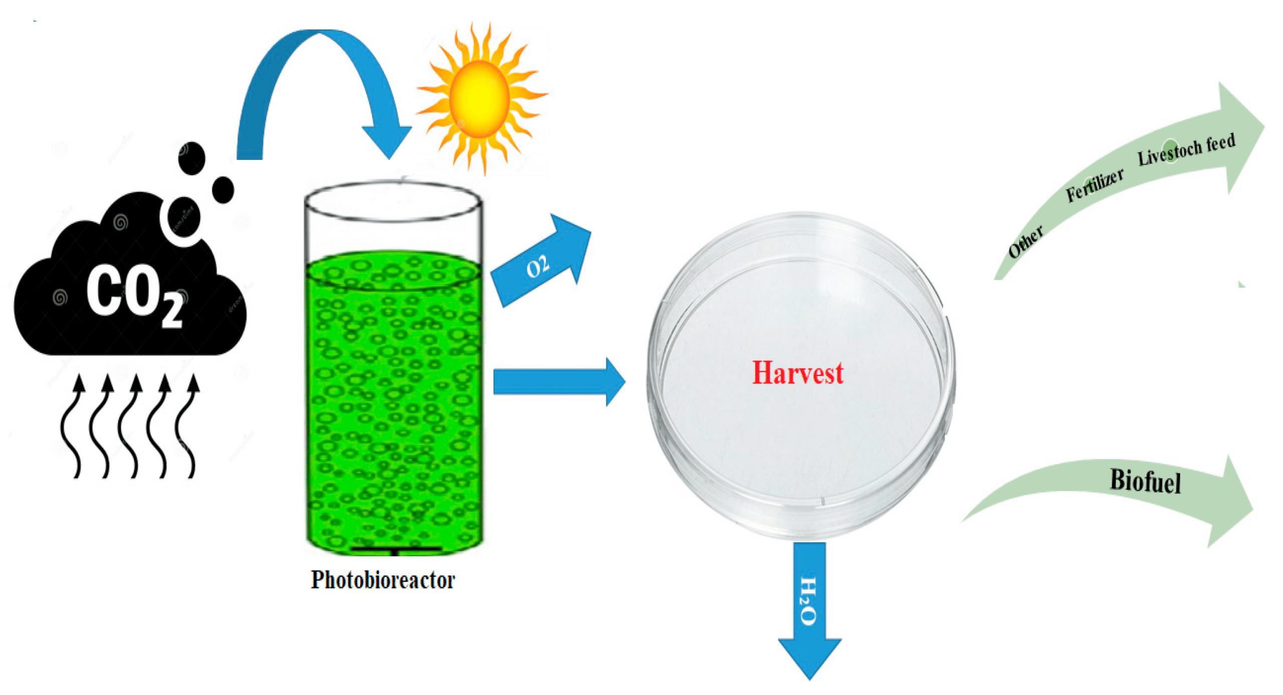 Innovative Method for Carbon Dioxide Reduction in Agriculture