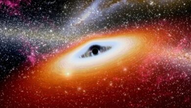 Massive Black Hole Jet Discovered in Early Universe