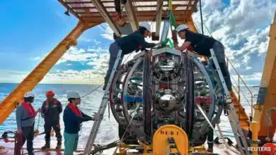 Neutrino Discovery in Mediterranean Sea