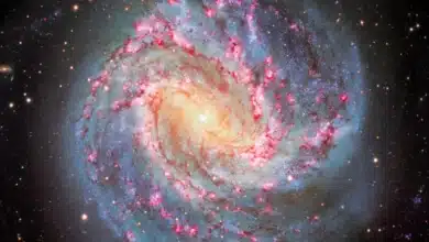 New Insights into Cosmic Evolution