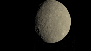 New Insights on Organic Molecules on Ceres