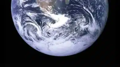 New Research Suggests Life's Emergence May Be Common
