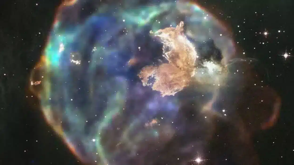 New Supernova Remnants Discovered in the Large Magellanic Cloud