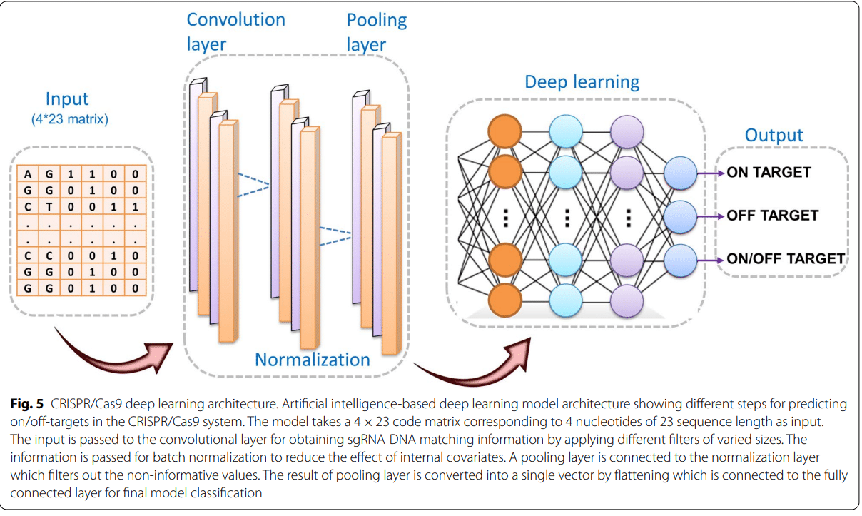 Revolutionizing Genome Design with AI