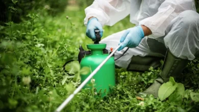 Strengthening Food Safety: Pesticide Monitoring in India