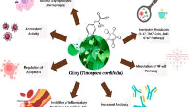 Surge in Giloy Research Highlights Herbal Potential