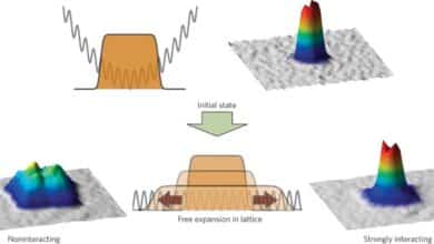 Understanding Quantum Transport in Ultra-Cold Atoms