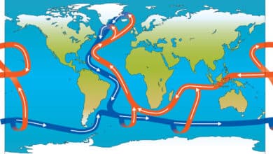 Understanding the Atlantic Meridional Overturning Circulation