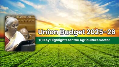 Union Budget 2025-26: A Vision for Rural India