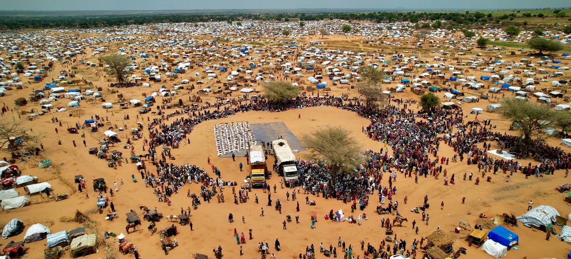 Urgent Call for Support for Sudan's Humanitarian Crisis