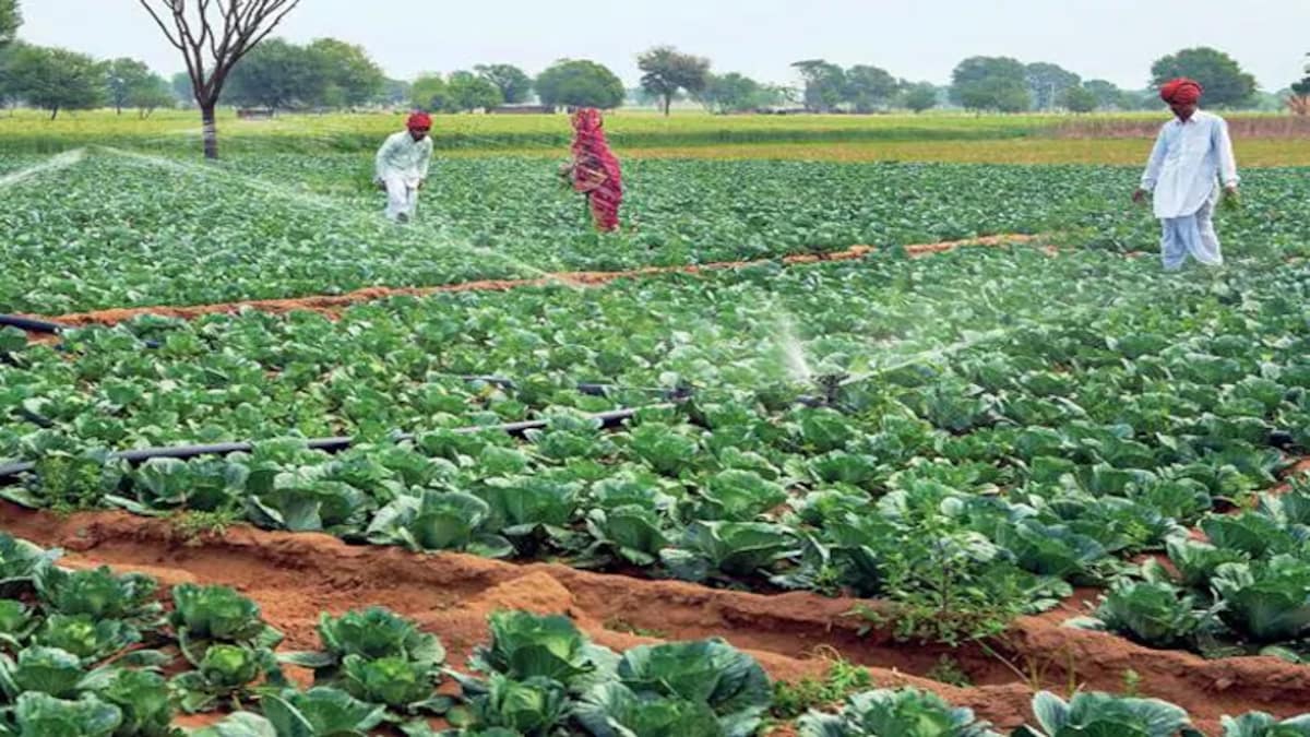 Agricultural Education Expansion in India