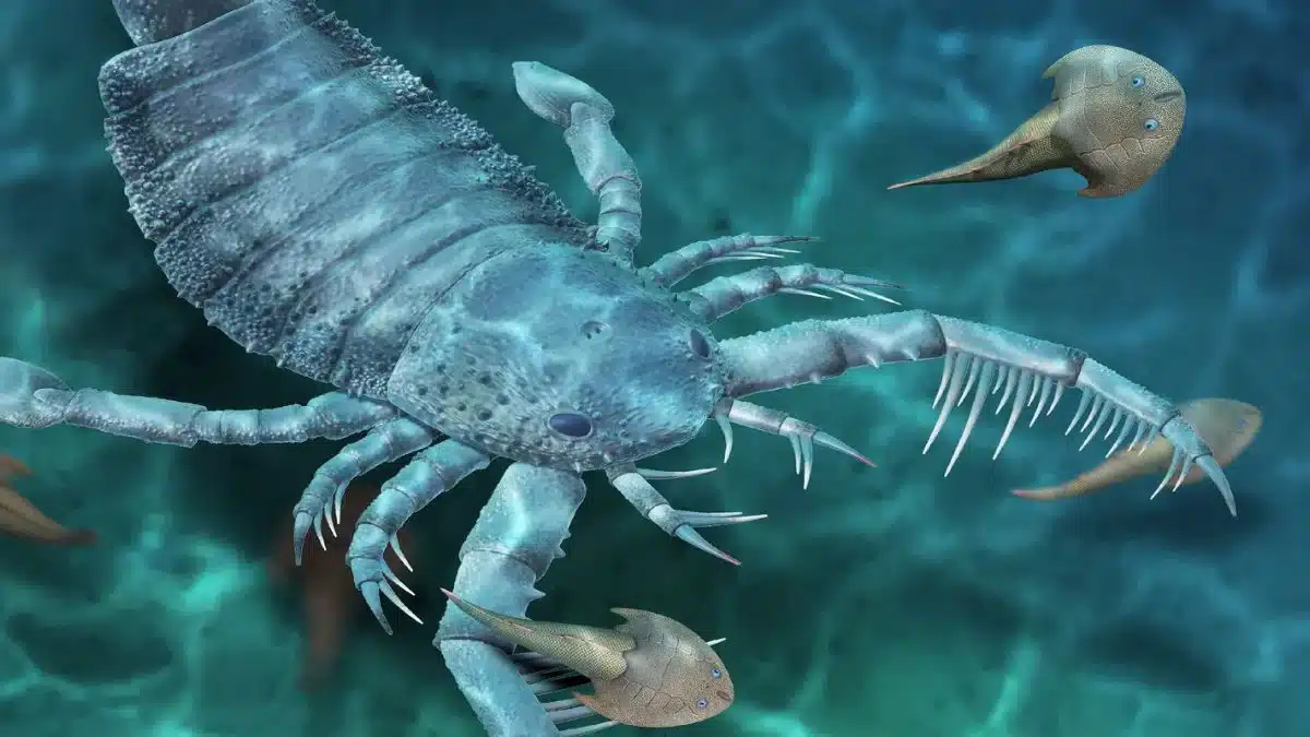 Ancient Scorpion Fossil Unearthed in China