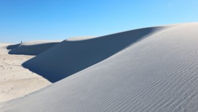 Ancient Transport Methods Revealed at White Sands