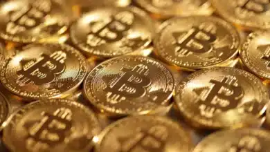 Bitcoin Surges Amid Crypto Market Optimism