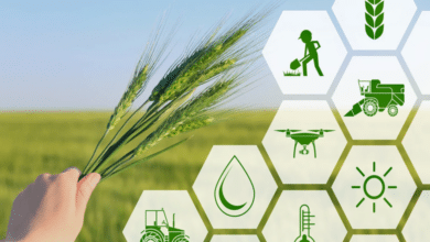 Government Boosts Farmer Welfare with New Initiatives