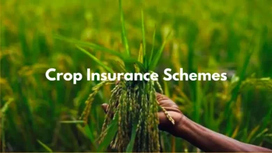 Government Extends Crop Insurance Schemes to 2026