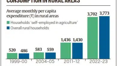 India's Latest Household Consumption Survey Unveiled