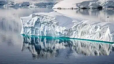 Massive Iceberg A23a Halts Near South Georgia