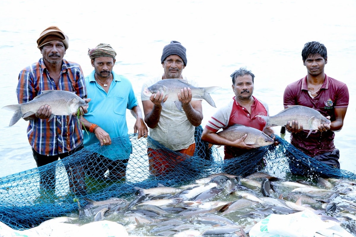 New Fisheries Scheme Boosts Aquaculture Insurance