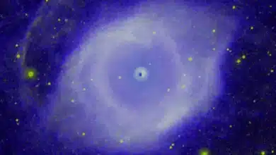 Planetary Destruction Unveiled in Helix Nebula