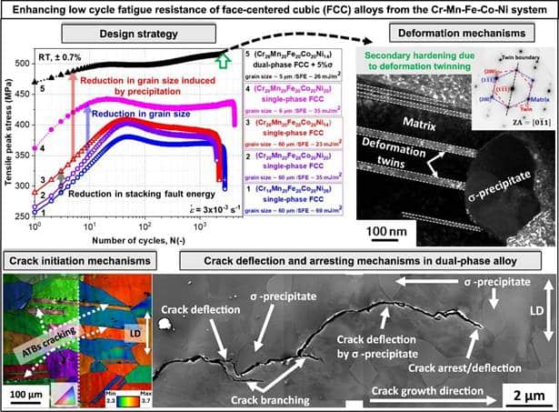 Breakthrough in Fatigue-Resistant Alloys Unveiled