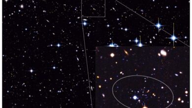 Smallest Galaxy Discovered Challenges Cosmic Theories