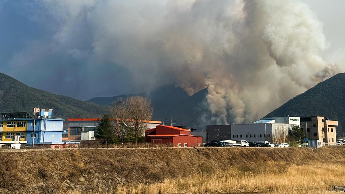 South Korea Faces Deadly Wildfire Crisis