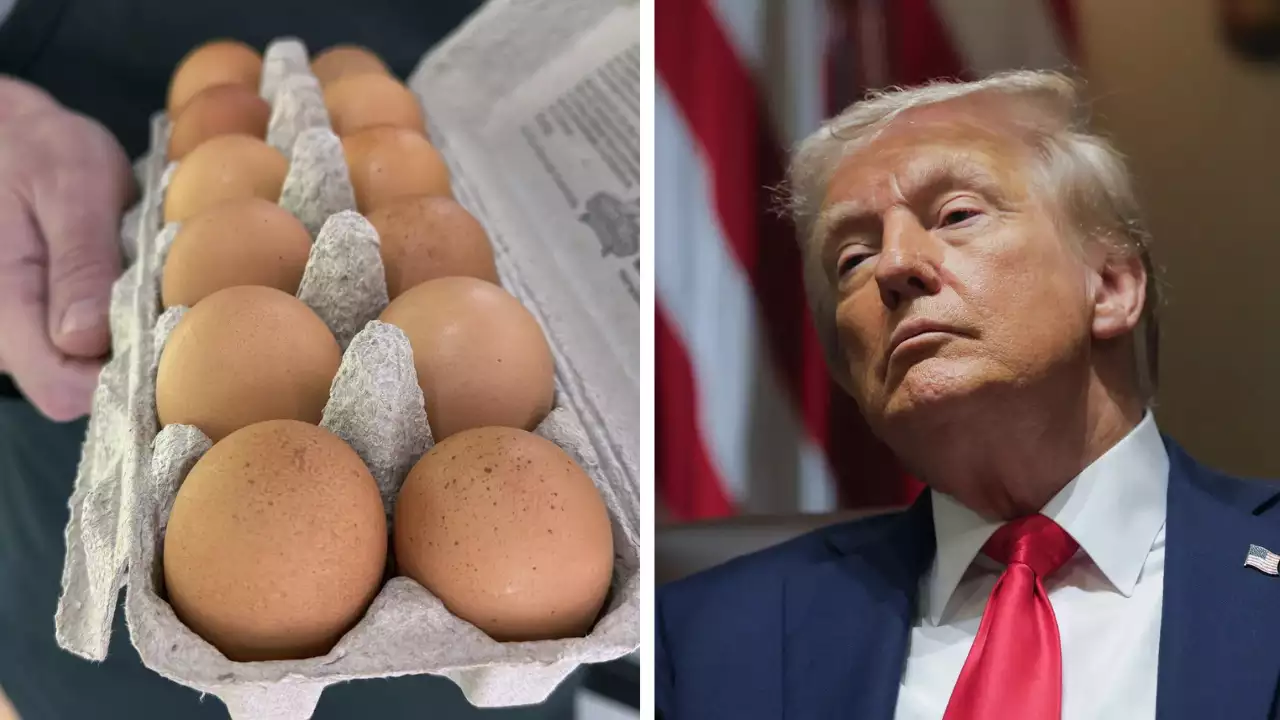Trump Administration Moves to Import Eggs Amid Price Surge
