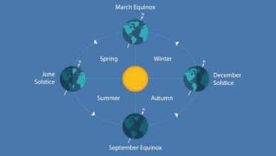 Vernal Equinox Approaches: Spring Awaits