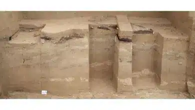 Ancient Fire Techniques Uncovered in Ice Age Study