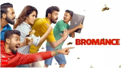 Bromance OTT Premiere: Streaming Details for Mathew