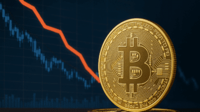 Crypto Market Update: Bitcoin Stays Steady at ,000
